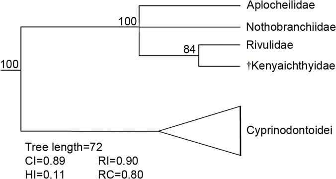 Fig 14