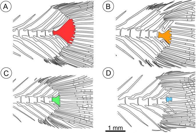 Fig 10