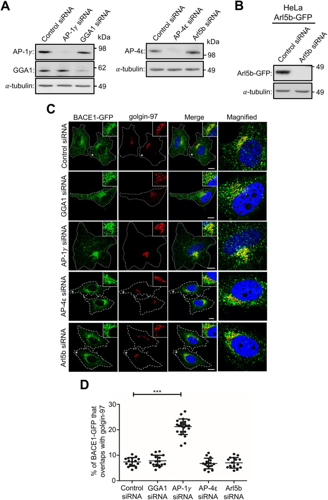 FIGURE 4: