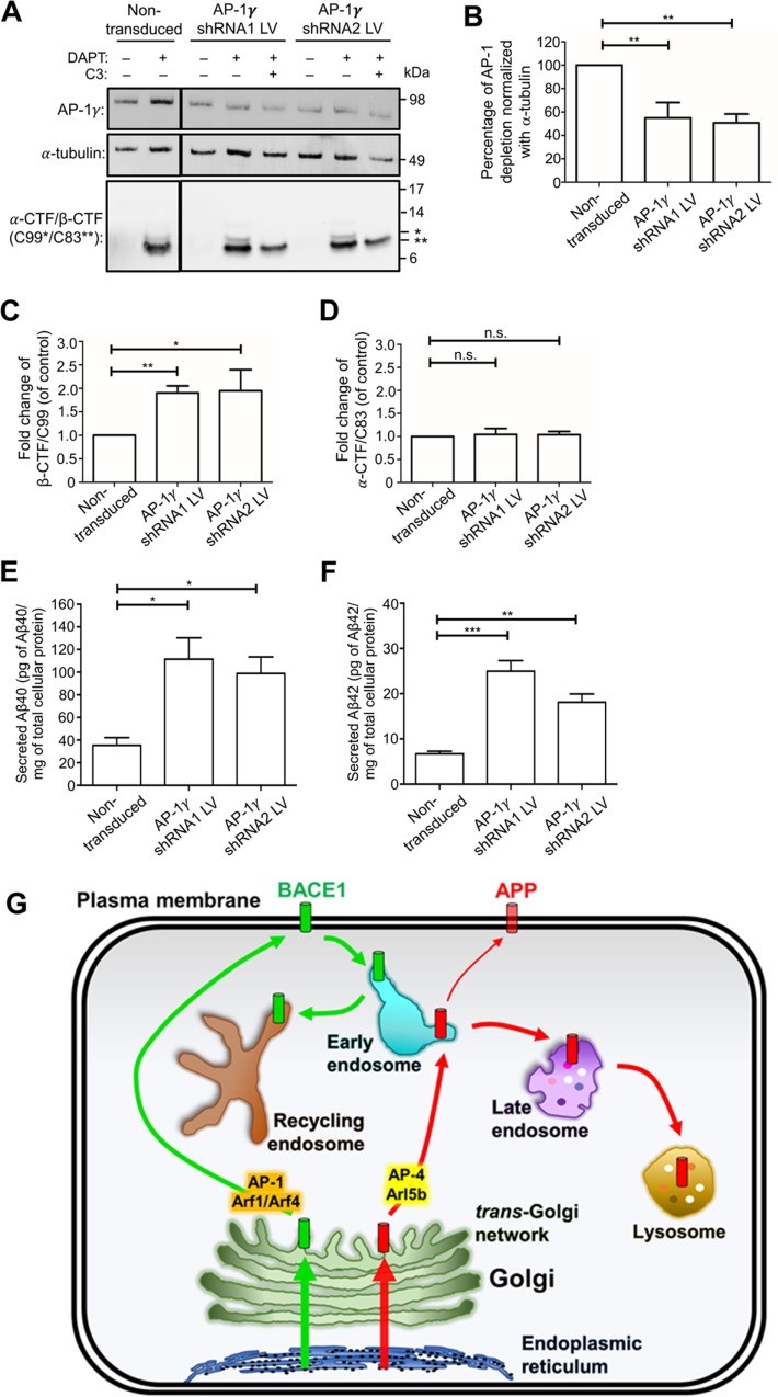 FIGURE 11: