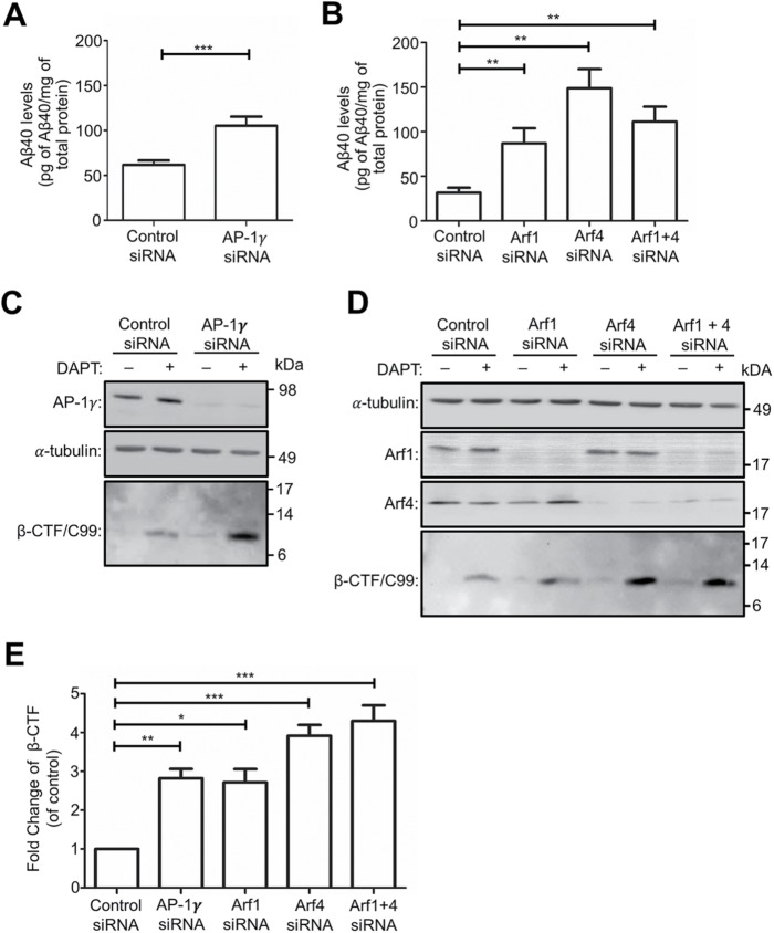 FIGURE 10: