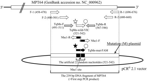 FIG. 1.