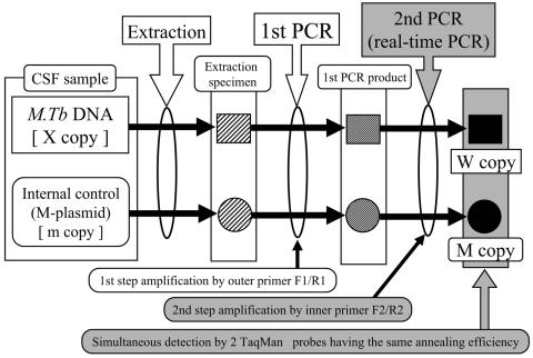 FIG. 2.