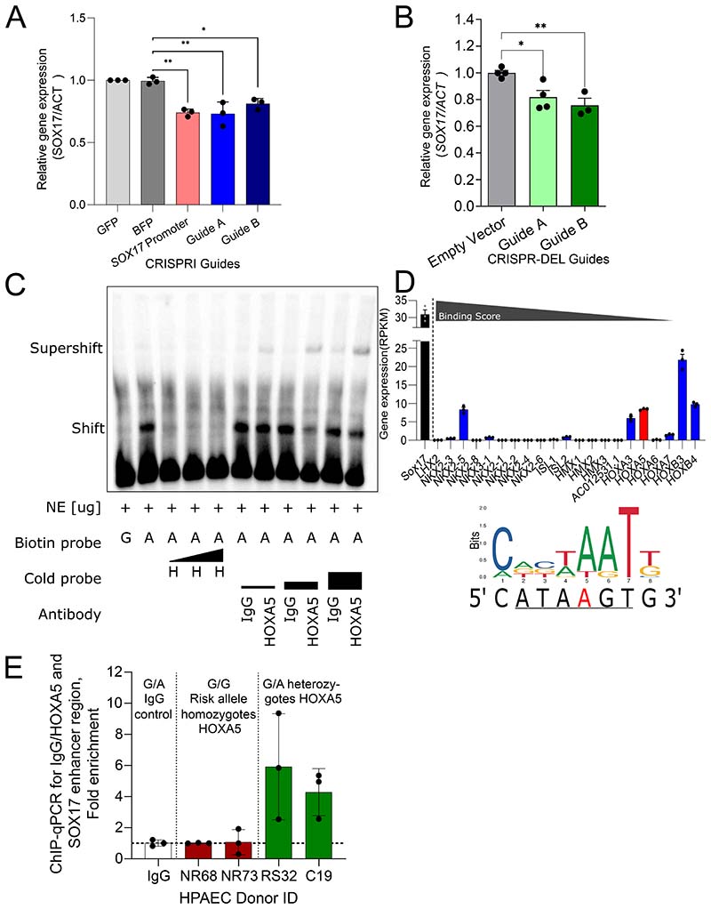 Figure 1)