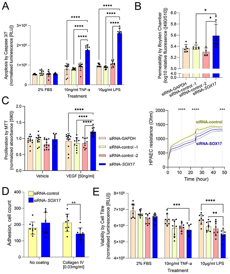 Figure 5)