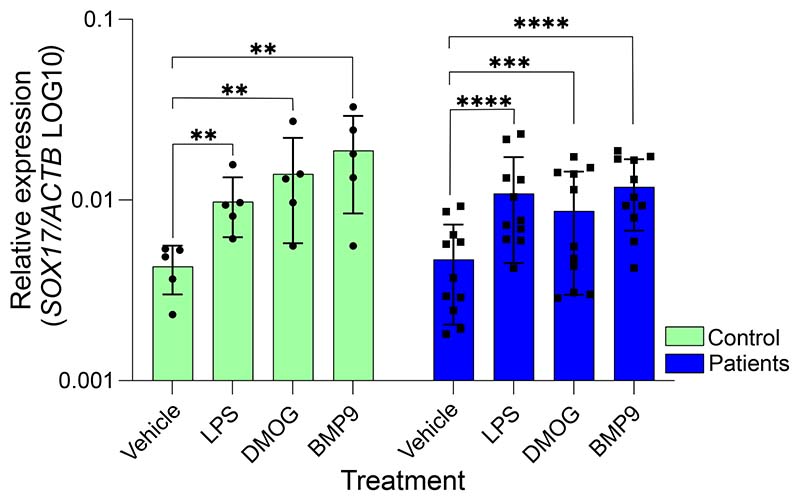 Figure 2)