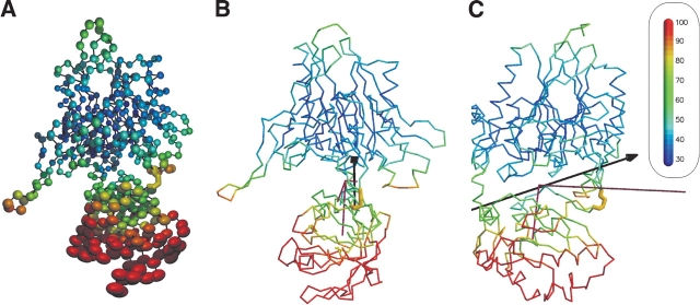 Figure 5.