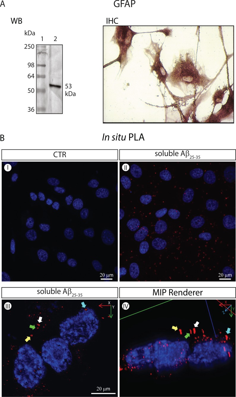 Fig. (3)