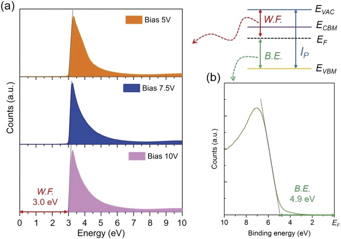 Fig. S1.