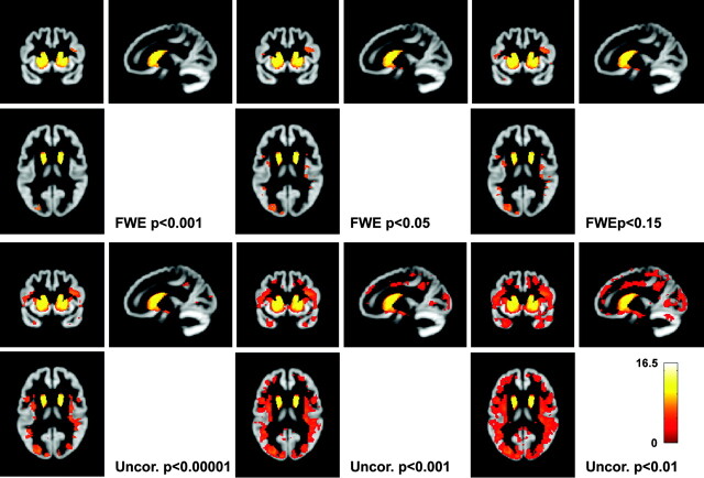 Fig 1.