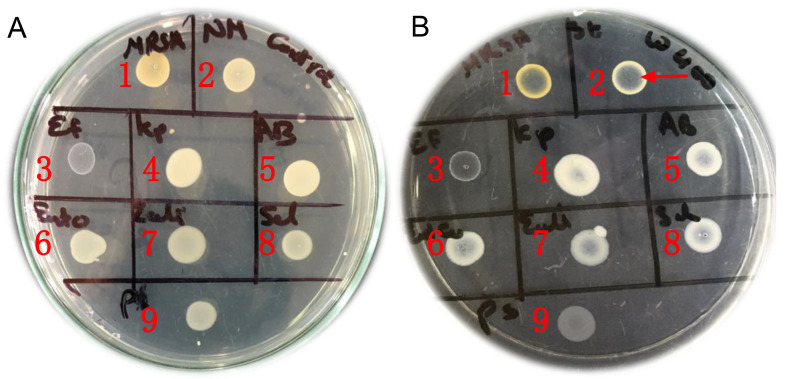 Figure 2