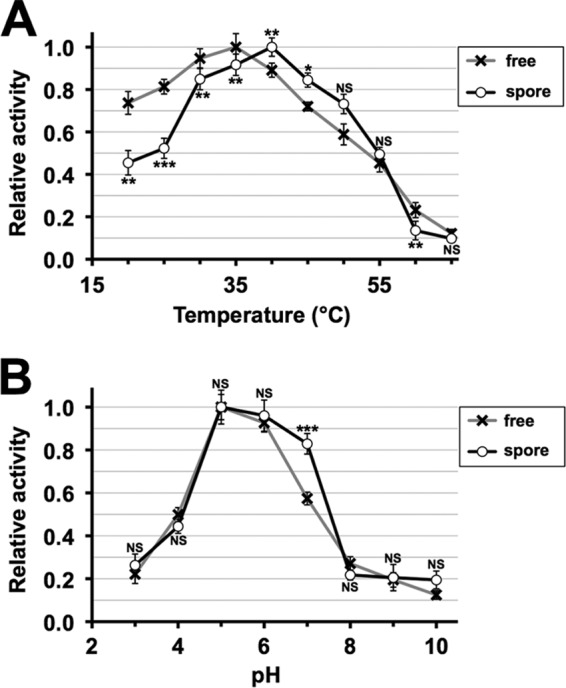 FIG 5