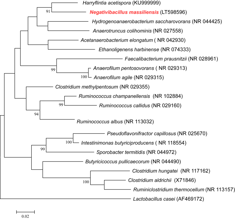 Fig. 1