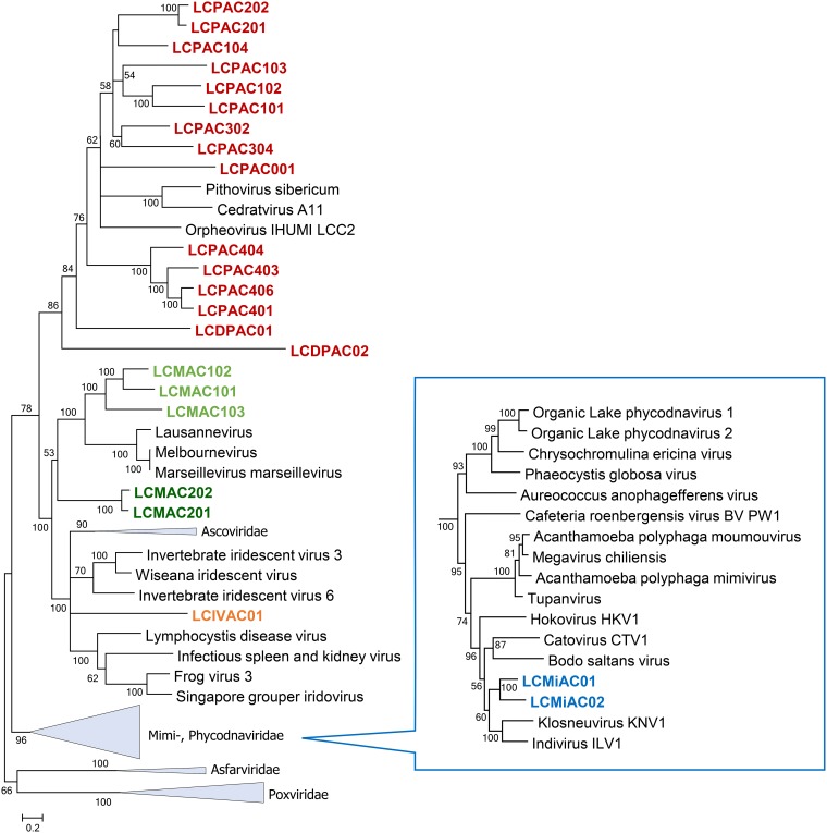 FIG 3