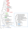 FIG 3