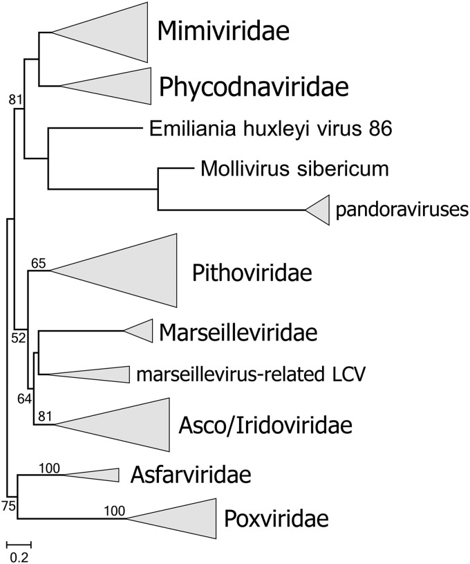 FIG 6