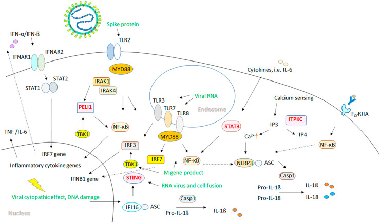 Figure 6