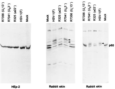 FIG. 5