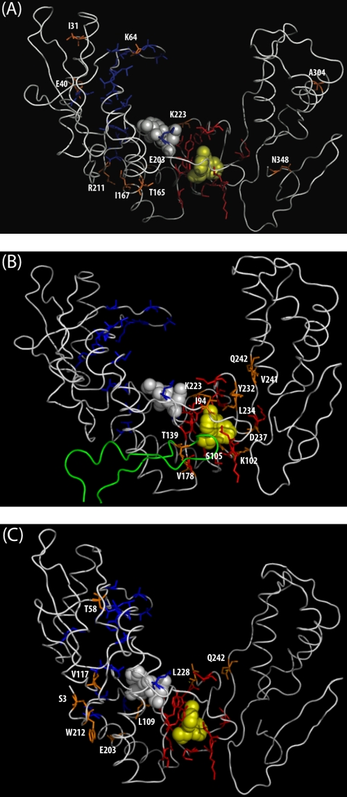 FIG. 2.