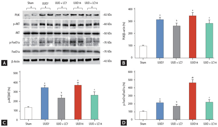 Figure 10.