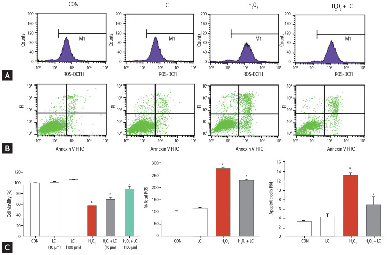 Figure 11.