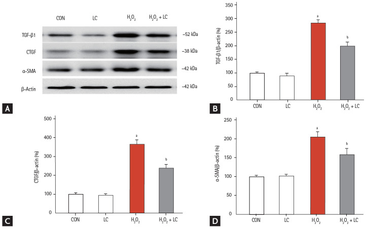 Figure 12.