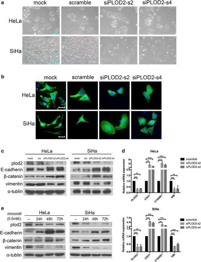 Fig. 4