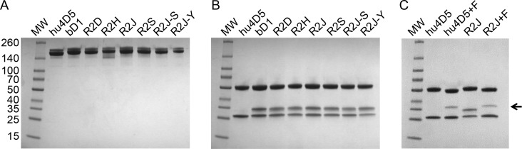 Fig. 5