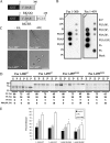 FIG. 2.