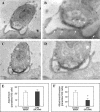 FIG. 7.