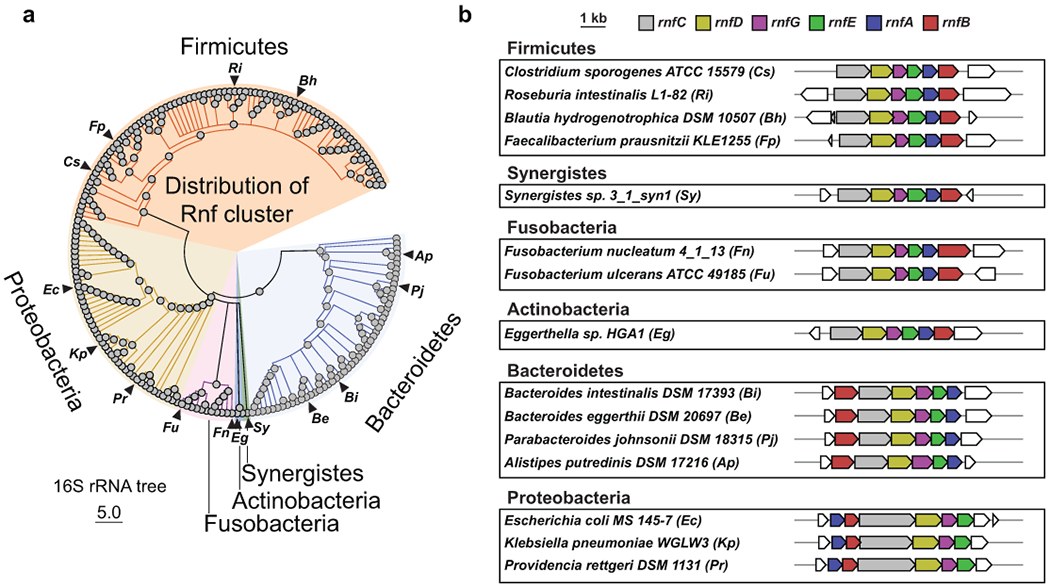 Extended Data Fig. 8