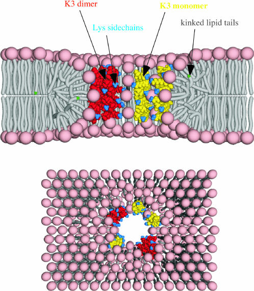 FIGURE 13