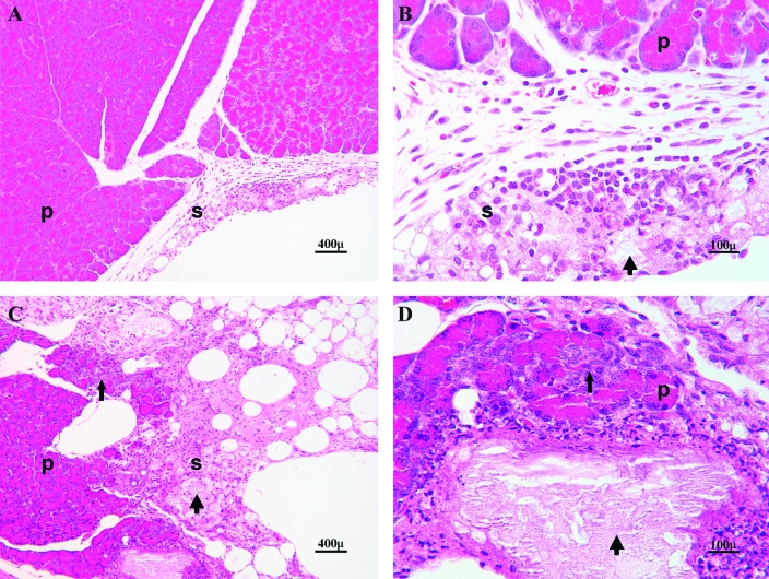 Figure 10.