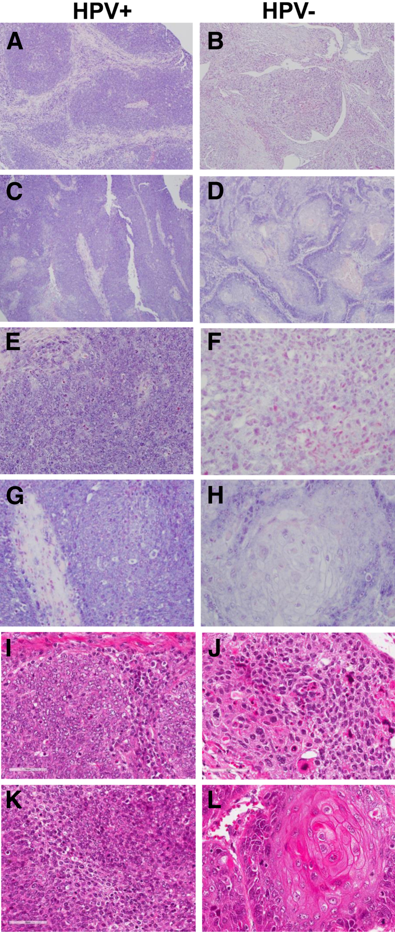 Figure 7