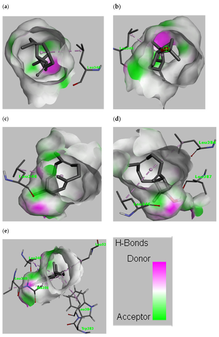 Figure 5