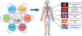 graphic file with name FSN3-11-2450-g002.jpg