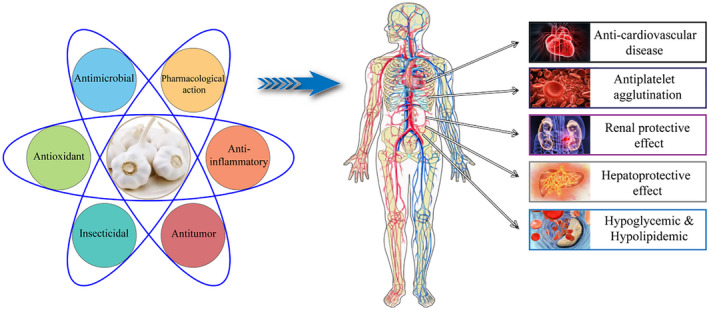 FIGURE 1