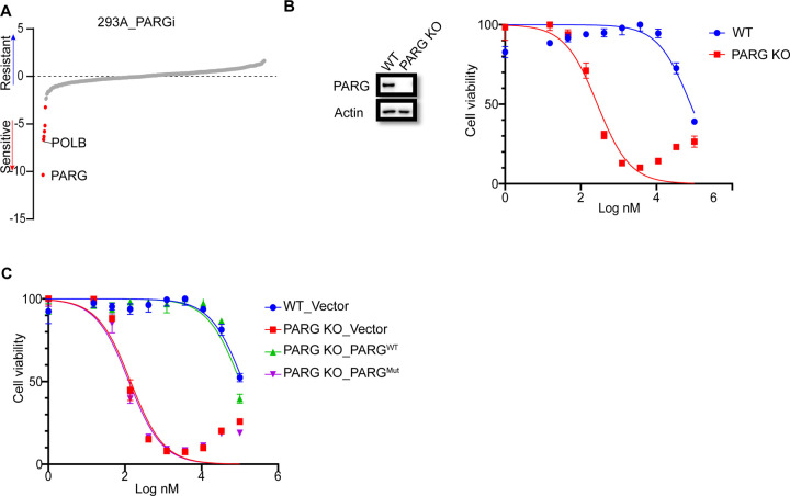 Figure. 1.