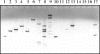 FIG. 5.