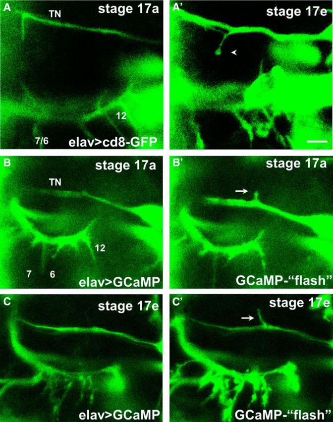 Figure 2.