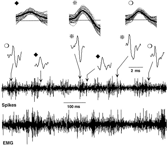 Fig. 3.