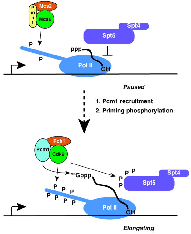 Figure 7