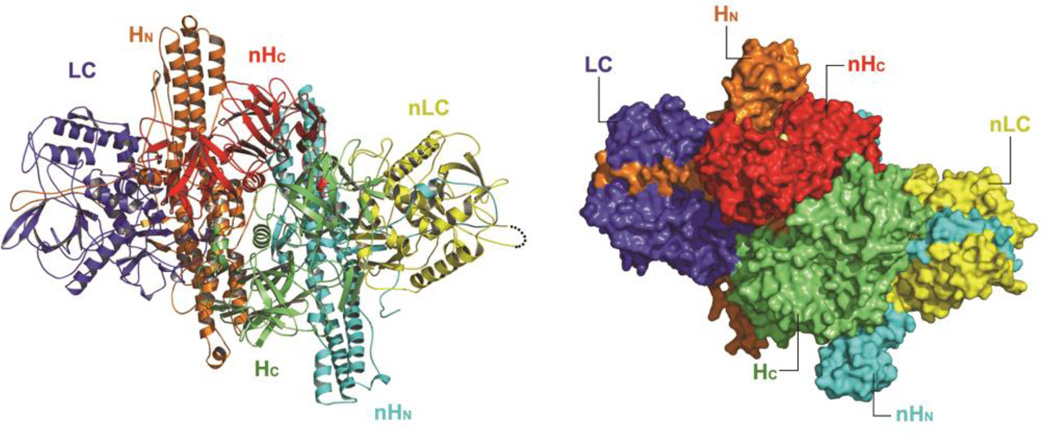 Fig. 1