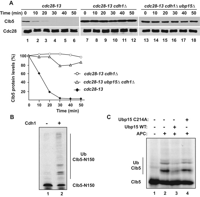 FIGURE 3: