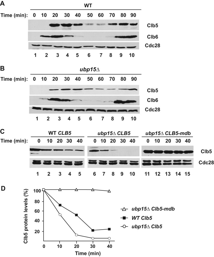 FIGURE 2: