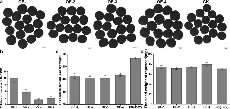 Fig. 3