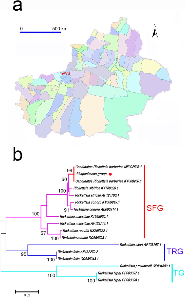 Fig 2