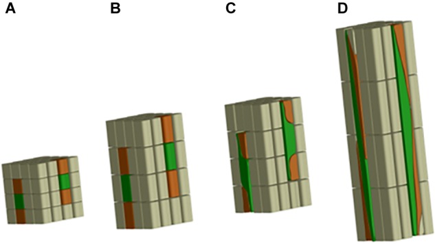 FIGURE 3