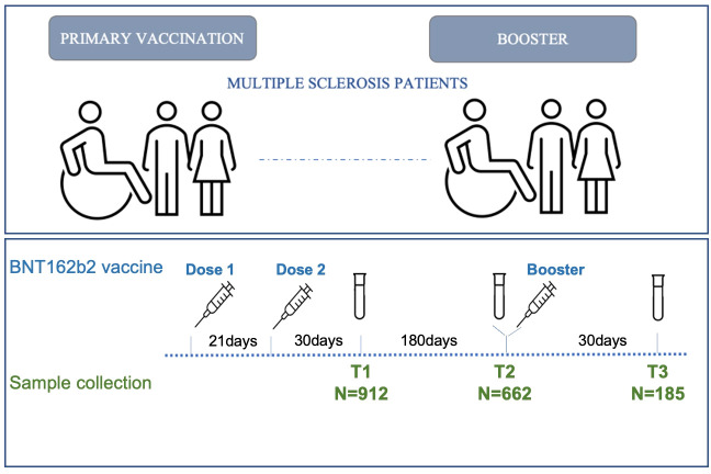 Figure 1