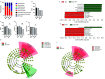 Figure 5A is a stacked bar graph, plotting Abundance (percentage), ranging from 0 to 100 in increments of 50 (y-axis) across normal diet, normal diet plus microplastics, high-fat diet, and high-fat diet plus microplastics (x-axis) for Actinobacteria, Bacteroidetes, Deferribacteres, Proteobacteria, Verrucomicrobia, Candidatus Saccharibacteria, Cyanobacteria or Chloroplast, and Firmicutes. Figures 5B to 5E are bar graphs, plotting operational taxonomic units, ranging from 0 to 400 in increments of 100; Chao1 index 1, ranging from 0 to 400 in increments of 100; Shannon index, ranging from 0 to 8 in increments of 2; and Gini-Simpson index, ranging from 0.0 to 1.5 in increments of 0.5 (y-axis) across normal diet, normal diet plus microplastics, high-fat diet, and high-fat diet plus microplastics (x-axis). Figure 5F is a set of two horizontal bar graphs, plotting Tannerella, uncultured bacterium, Bacteroidetes, bacteroidia, bacteroidales, burkholderrales, betaproteobacteria, sutterellaceae, unculturedbacterium, parasutterella, and proteobacteria; and unculturedbacterium, alloprevotella, prevotellaceae, bacteroidia, Bacteroidetes, bacteroidales, ruminococcaceae, and desulfovibrio (y-axis) across linear discriminant analysis score (log 10), ranging from negative 10.0 to 8.0 in increments of 1.8 (x-axis) for high-fat diet and high-fat diet plus microplastics. Figure 5H is a Linear discriminant analysis Effect Size cladogram depicts the taxa enriched in normal diet mice, including a: Tannerella, b: Bacteroidales, and taxa enriched in normal diet plus microplastics mice, including c: Parasuttterella, d: Sutterellaceae, e: Burkholderiales. Figure 5I is a Linear discriminant analysis Effect Size cladogram depicts the taxa enriched in normal diet mice, including a: alloprevotella, b: prevotellaceae, and taxa enriched in normal diet plus microplastics mice, including c: bacteroidales, d: ruminococcaceae, and e: desulfovibrio.